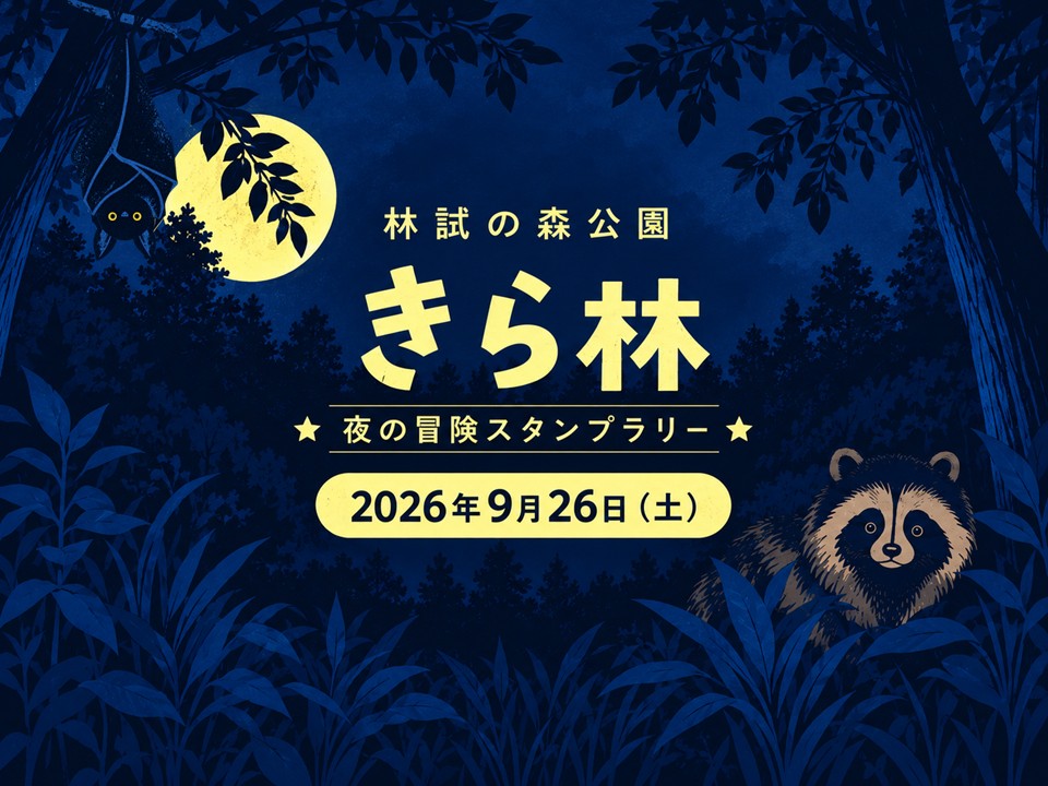 プレゼンテーション3