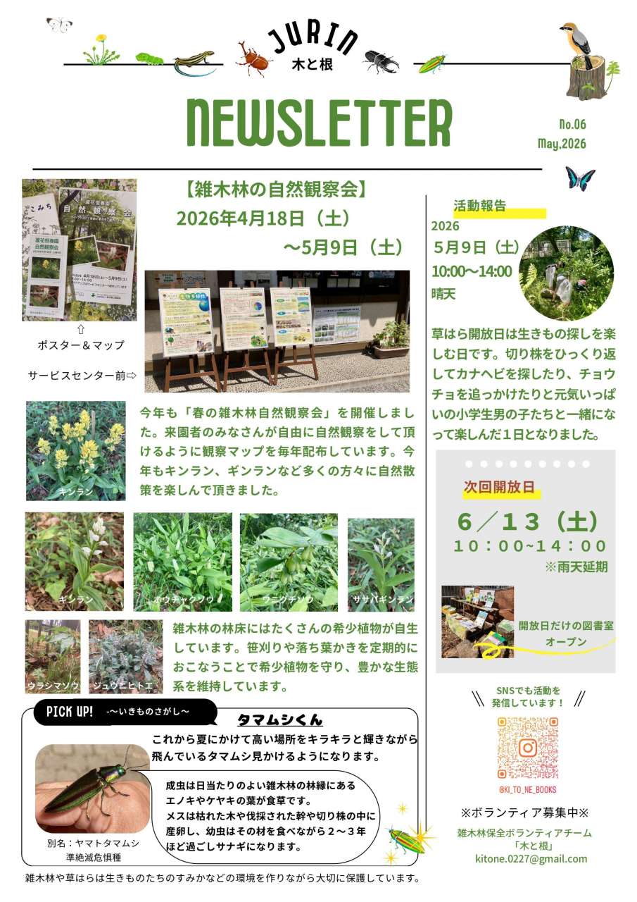 ニュースレターNo.6