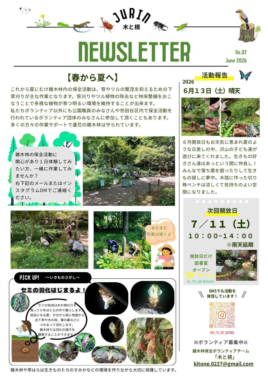 ニュースレターNo.7