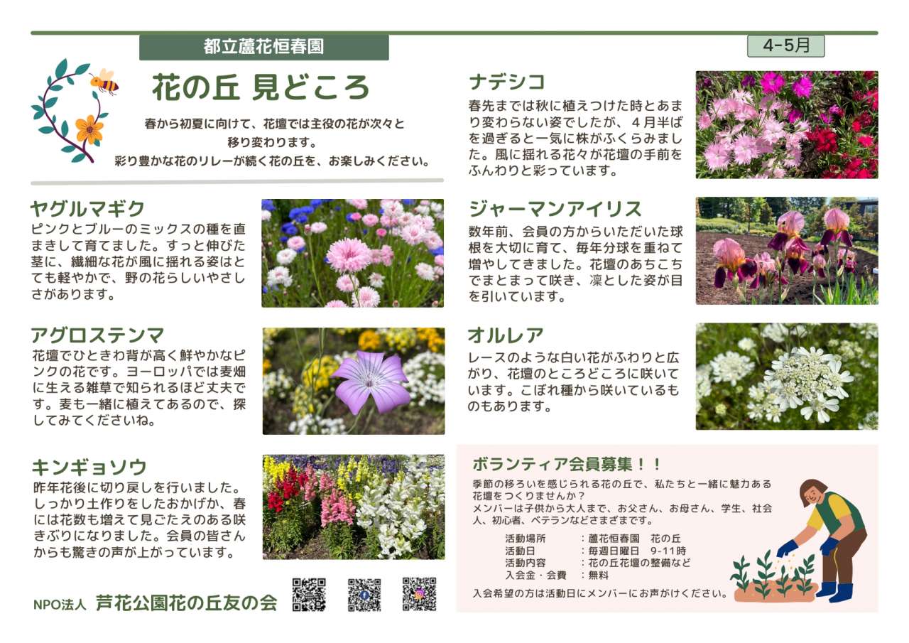 花の丘見どころ2604-05