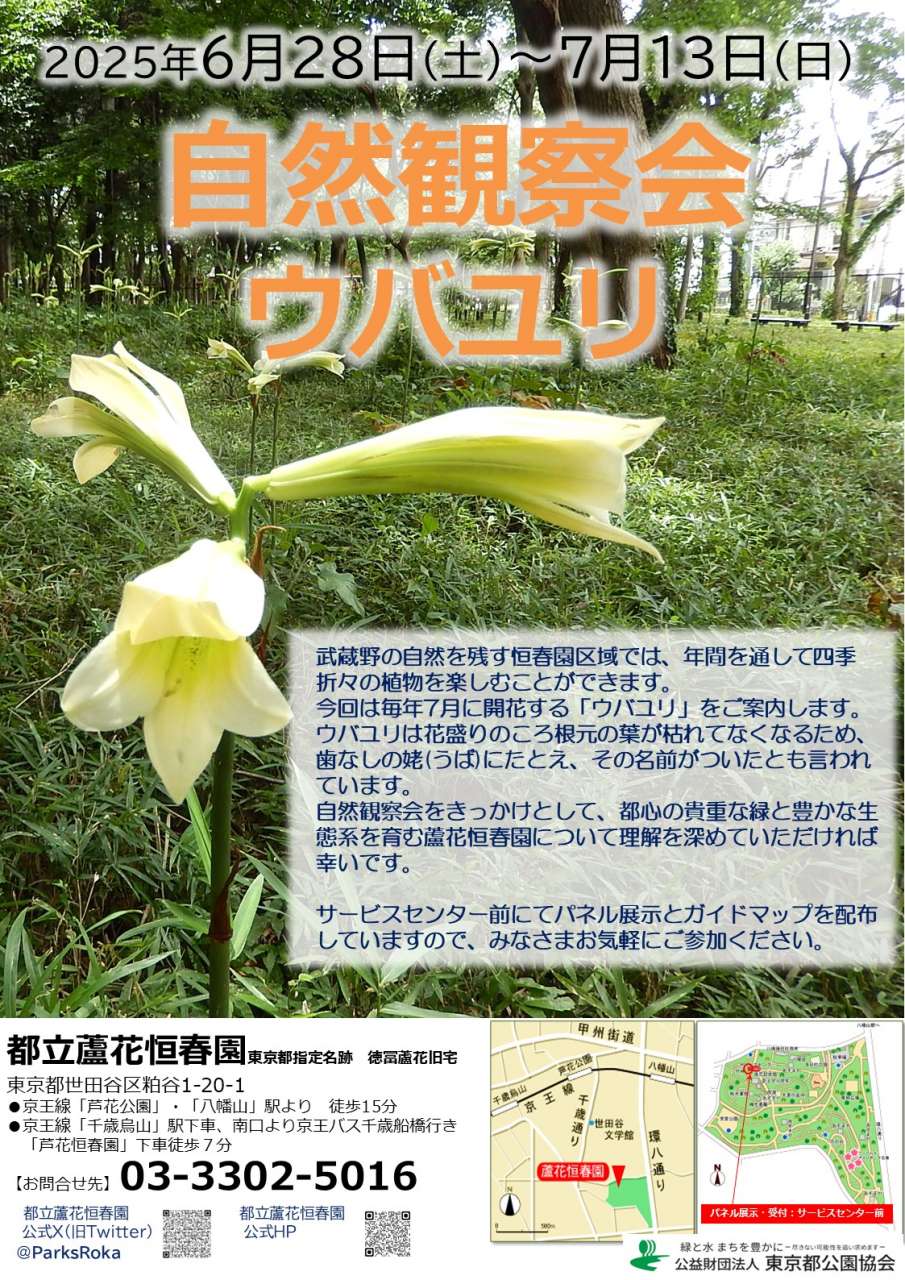 R7自然観察会ウバユリポスター