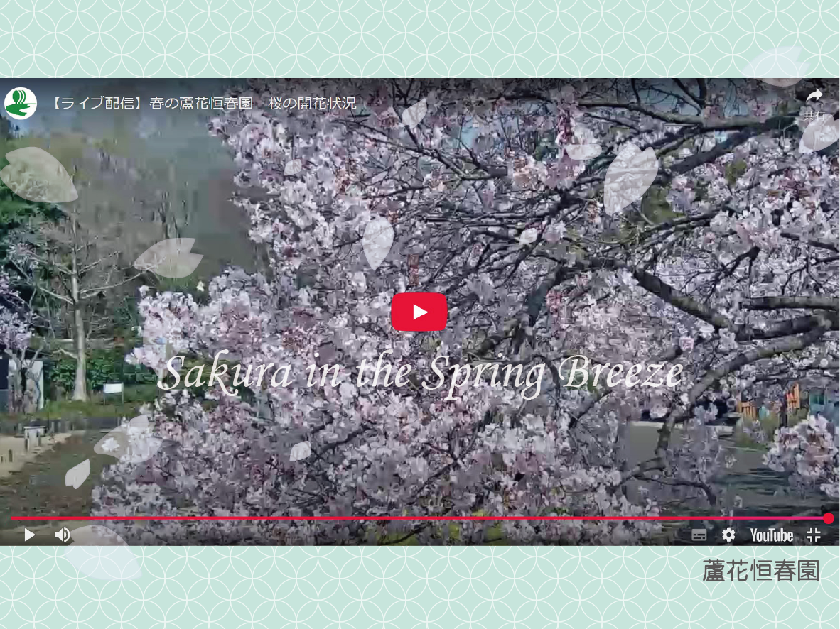 YouTube配信_バナー