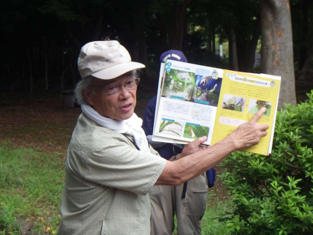 石神井公園230916バタフライガーデン観察会③(蝶々園) (23) - コピー