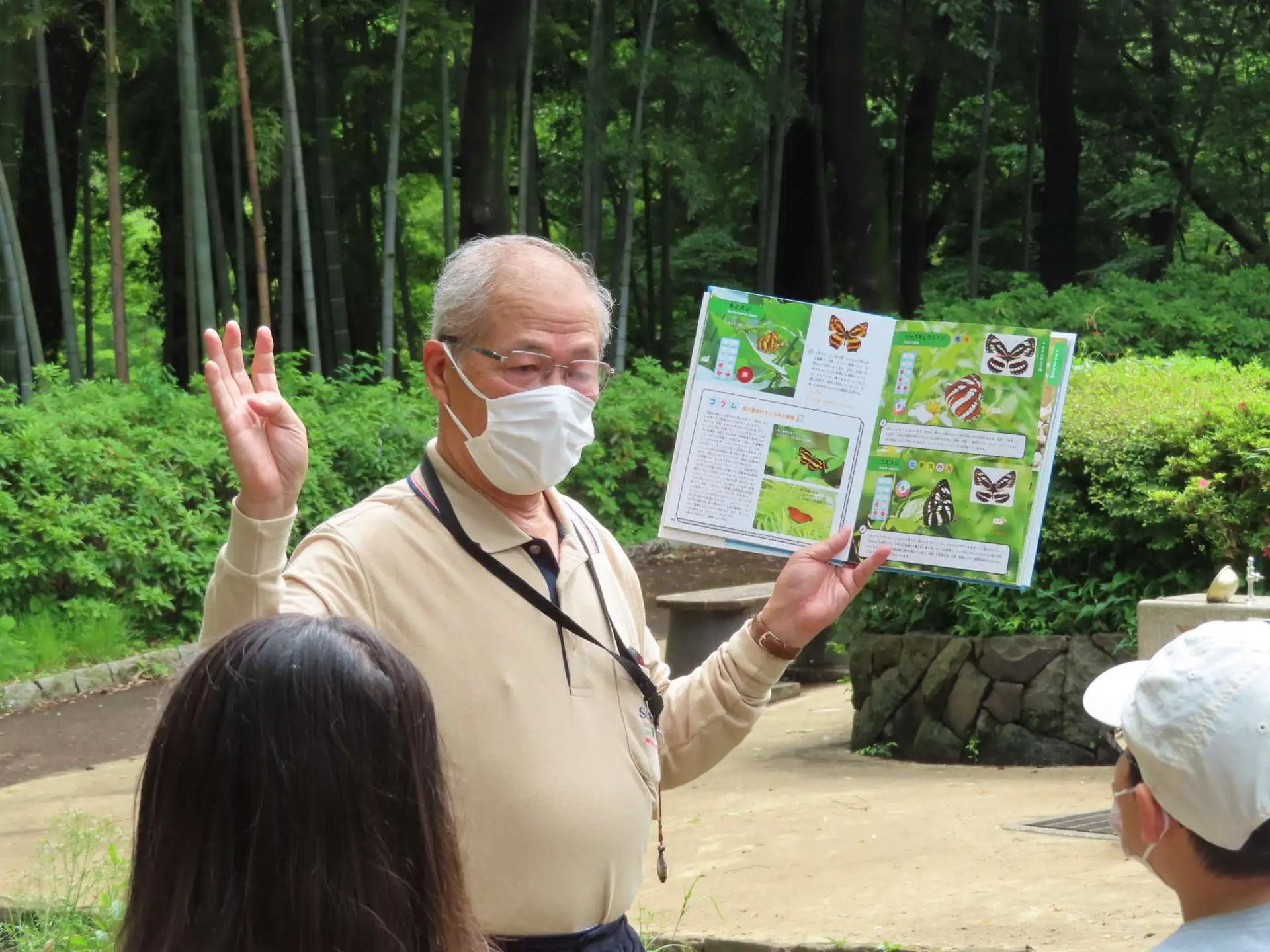 2051422075butterflygarden_01