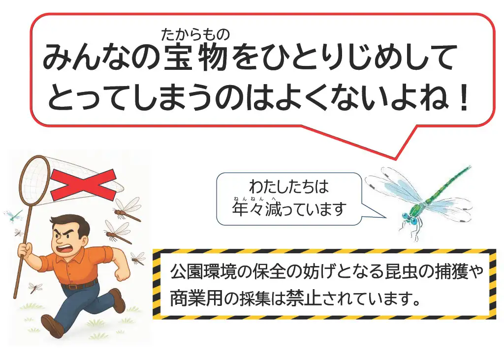 トンボ捕り啓発掲示_HP掲示用