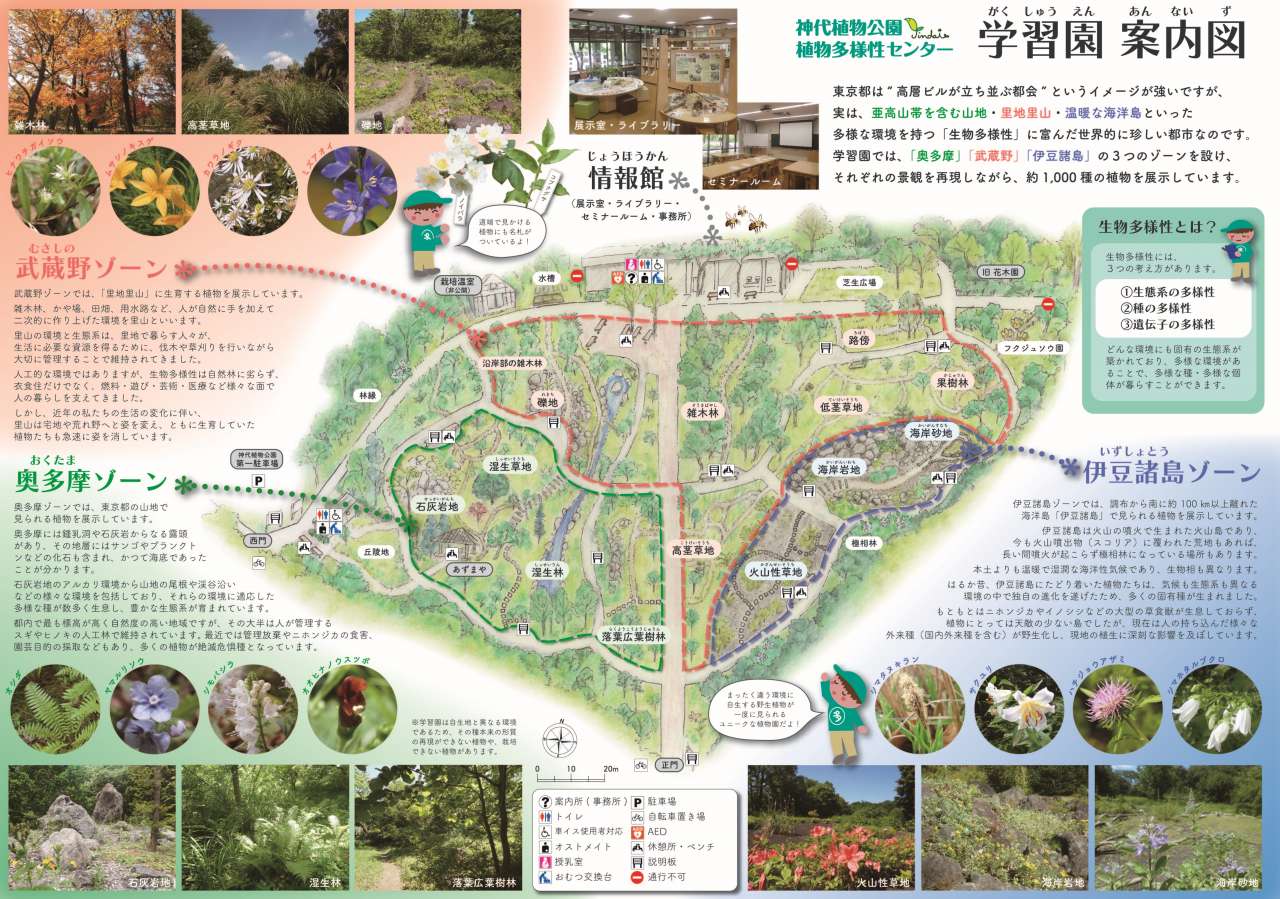 241001植物多様性センターパンフレット（マップ面）