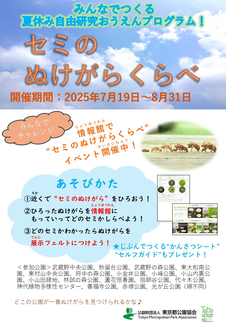 チラシ