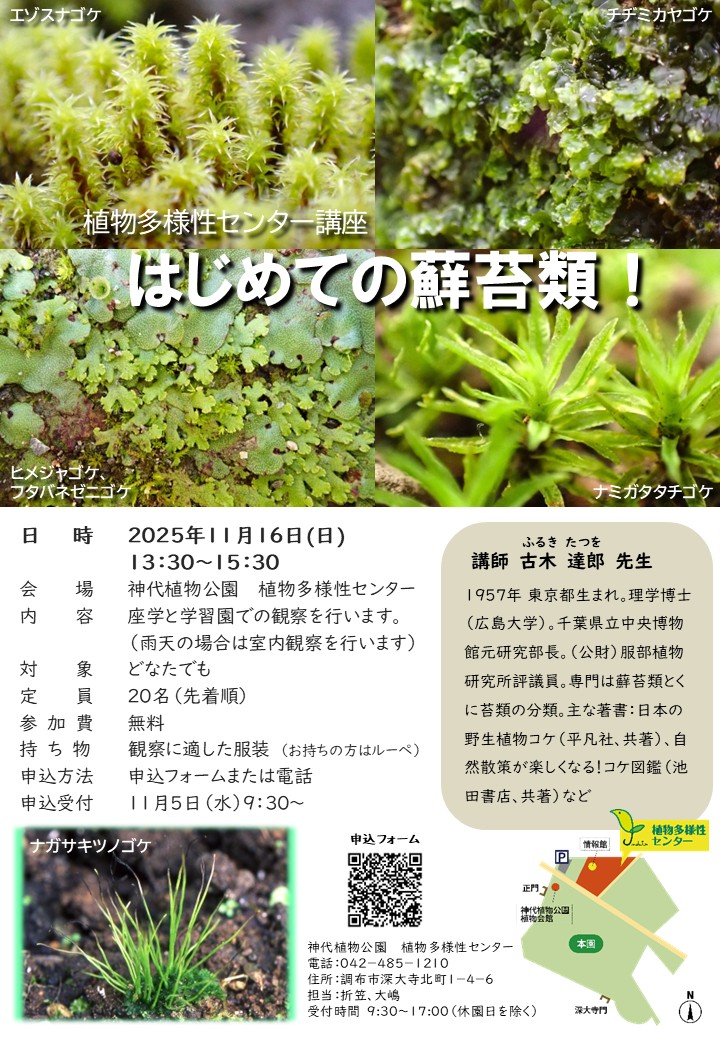 20251116はじめての蘚苔類