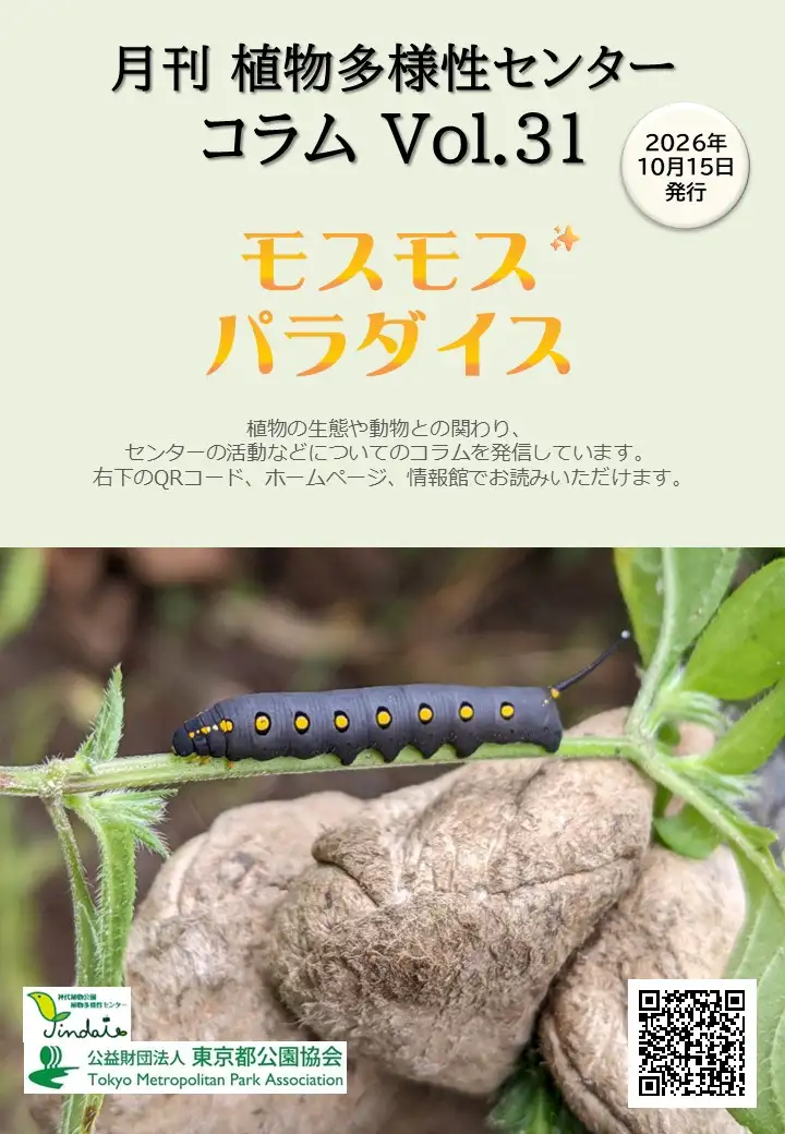 26.10_コラム扉_修正