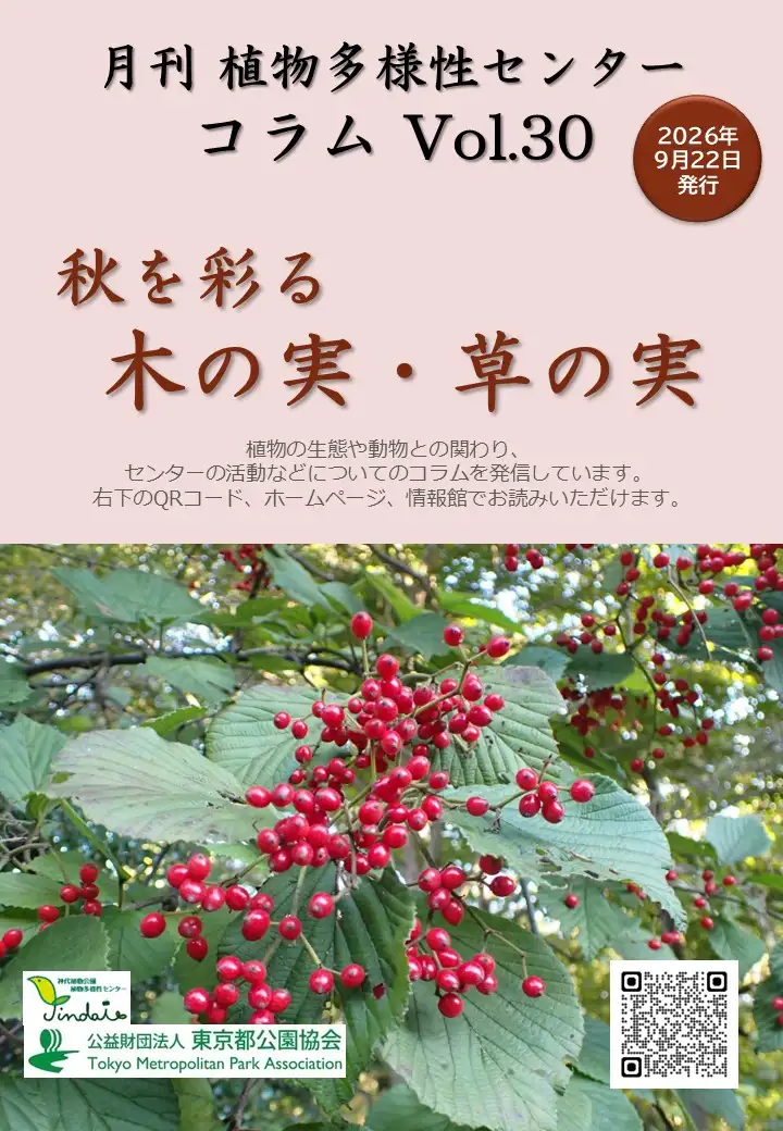 9月コラム_秋を彩る木の実・草の実扉
