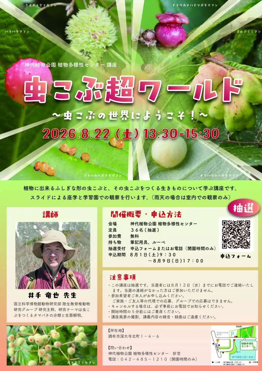 虫こぶ超ワールド_2