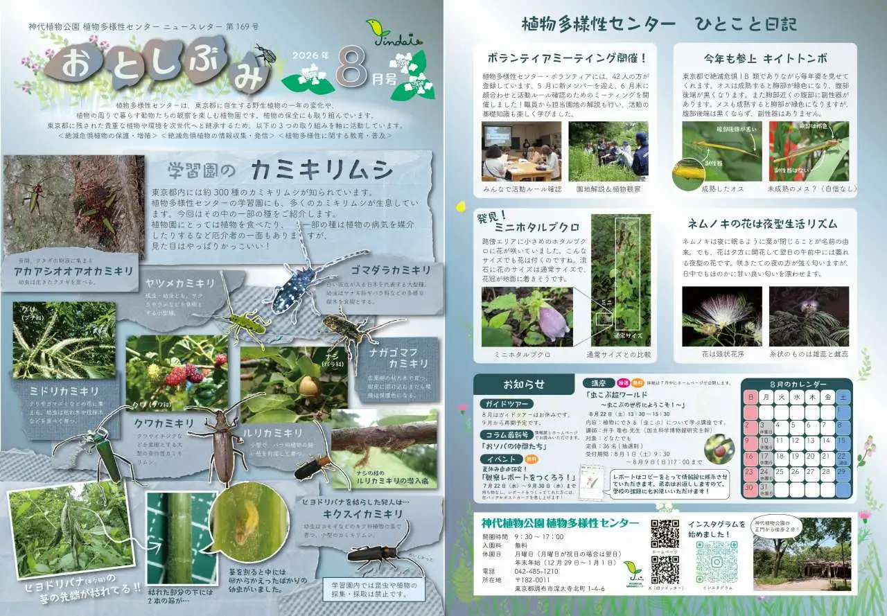 26年8月おとしぶみ