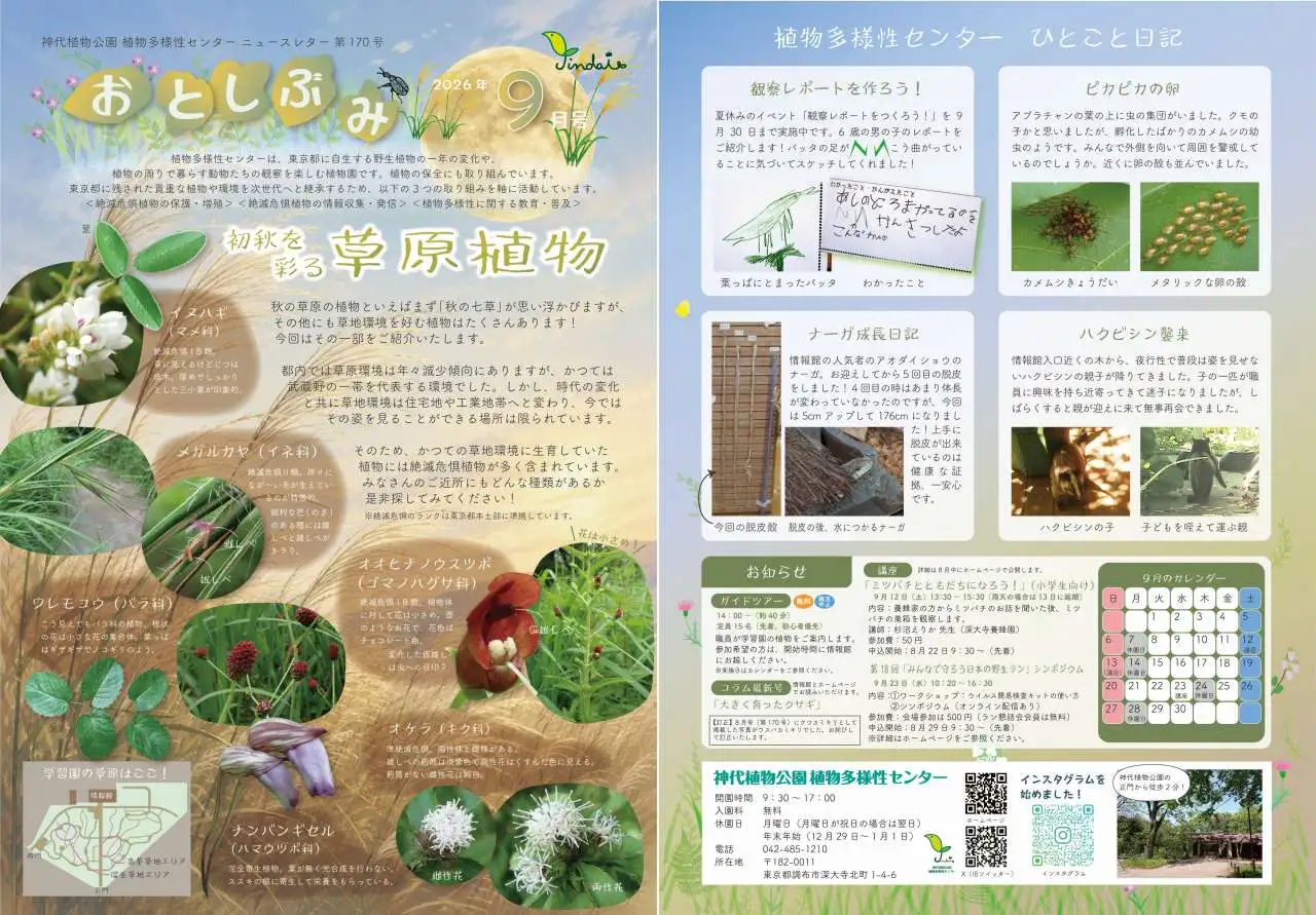 26年9月おとしぶみ
