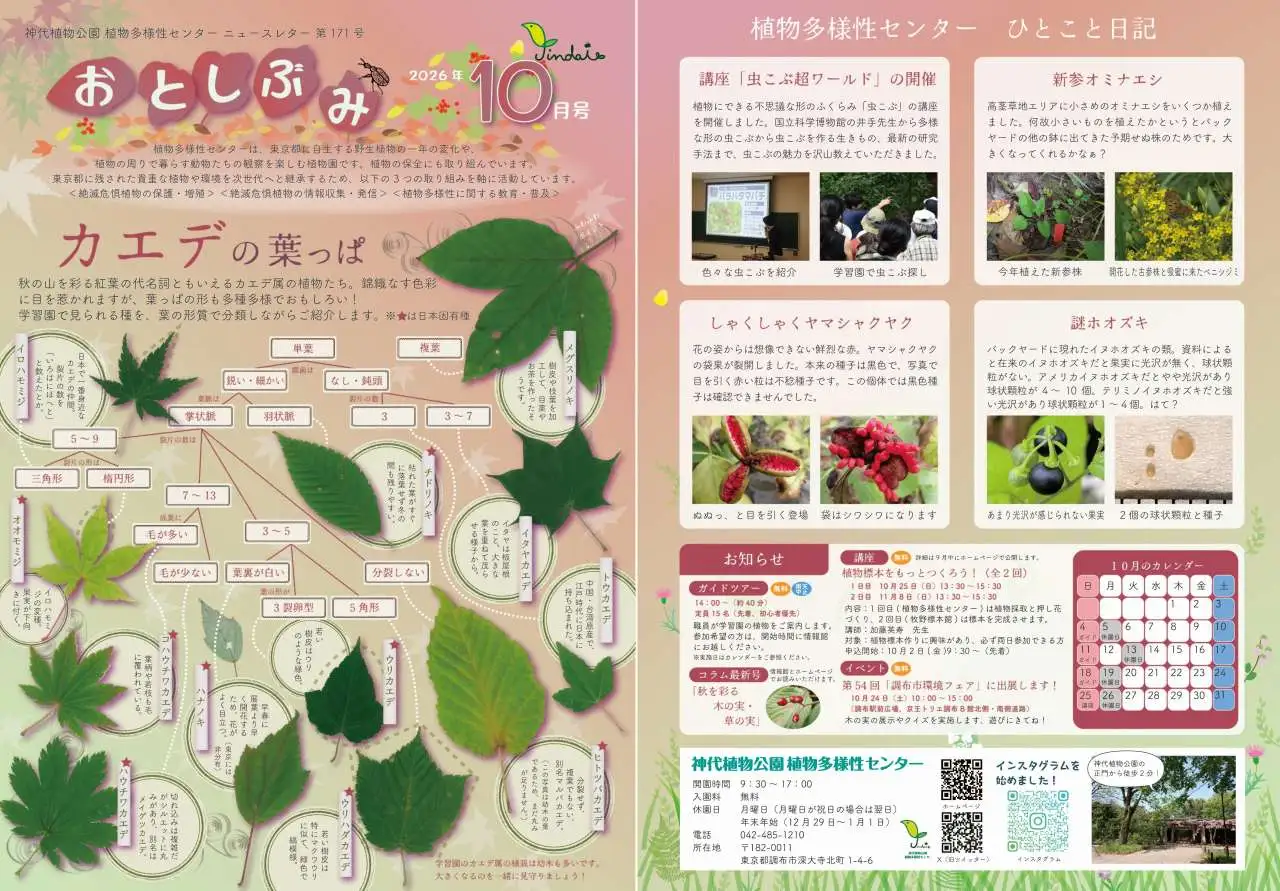 26年10月おとしぶみ