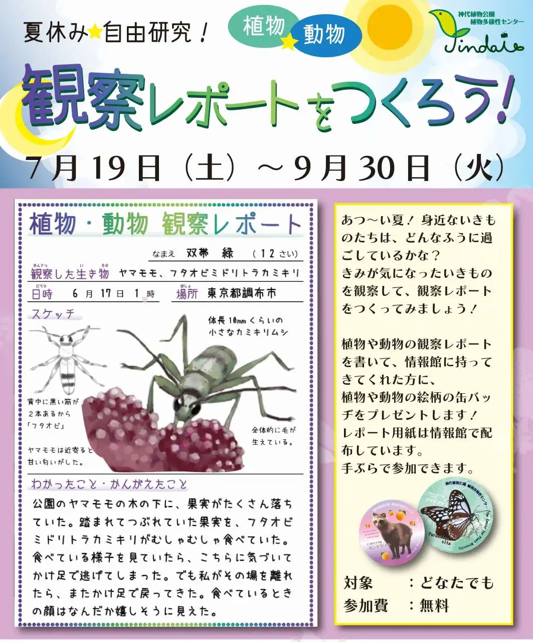 観察レポートをつくろう2025-06-06 - コピー