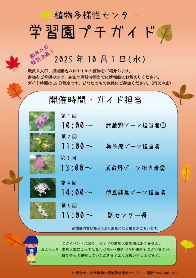 チラシ