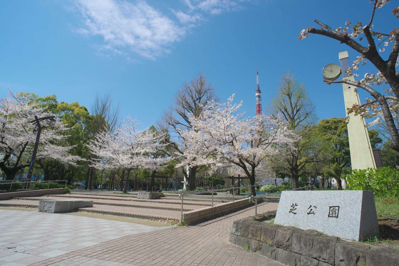 芝公園-桜-08