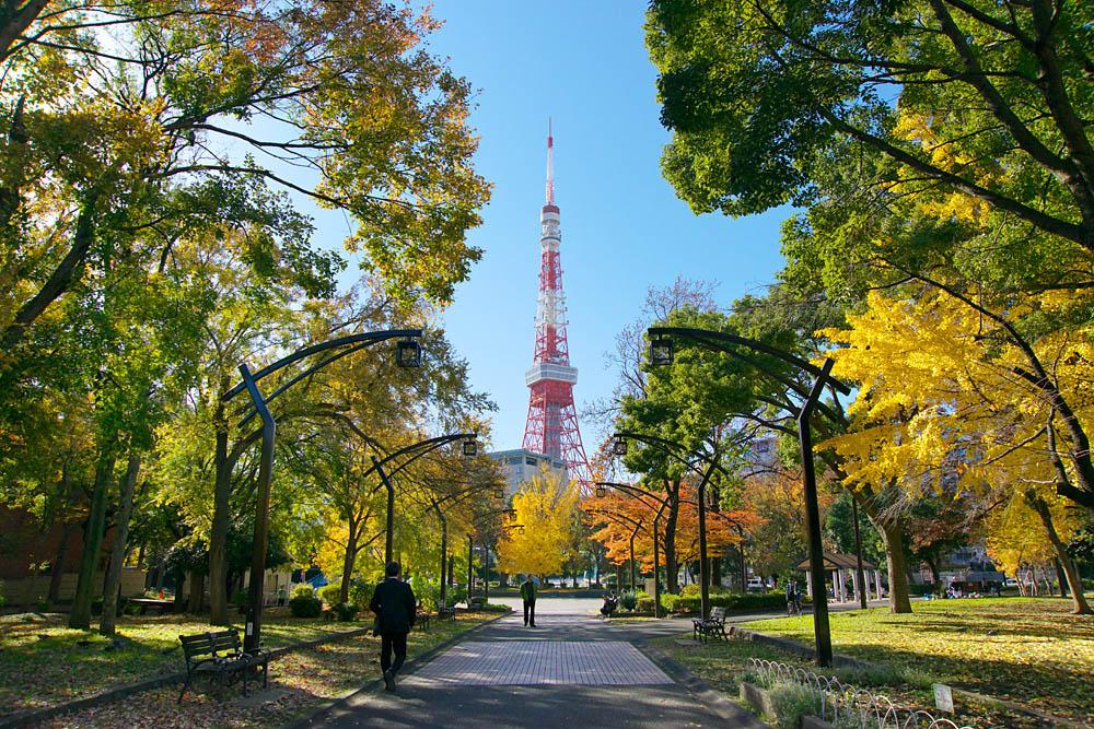 芝公園-紅葉-01