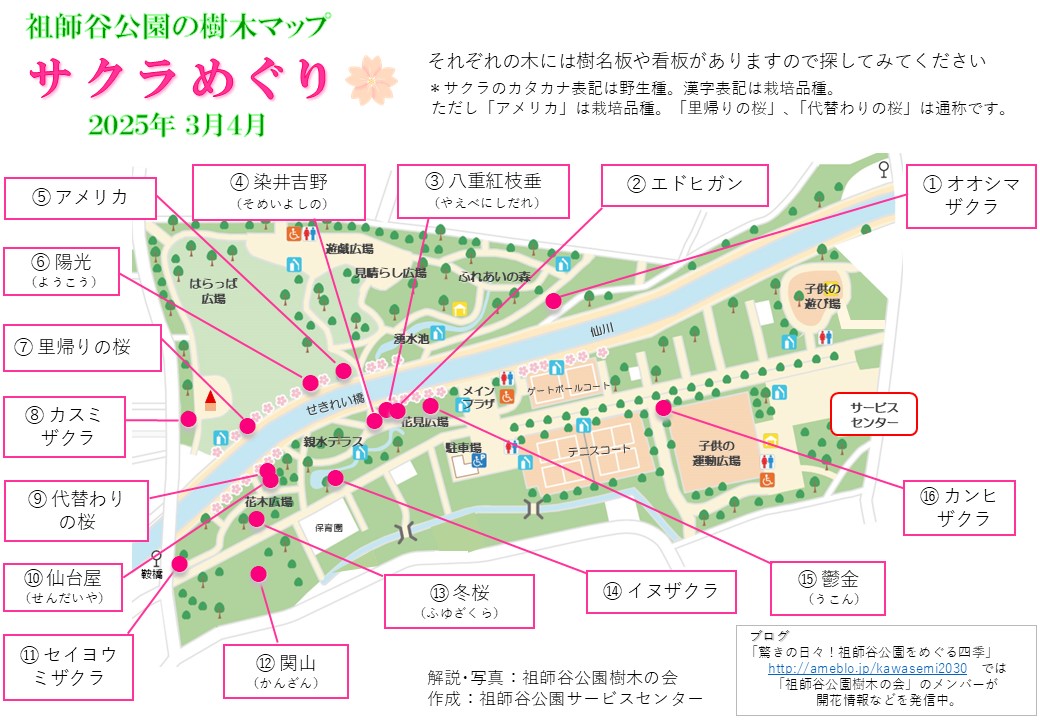 サクラめぐり(修正①)_2025年3月4月【表】