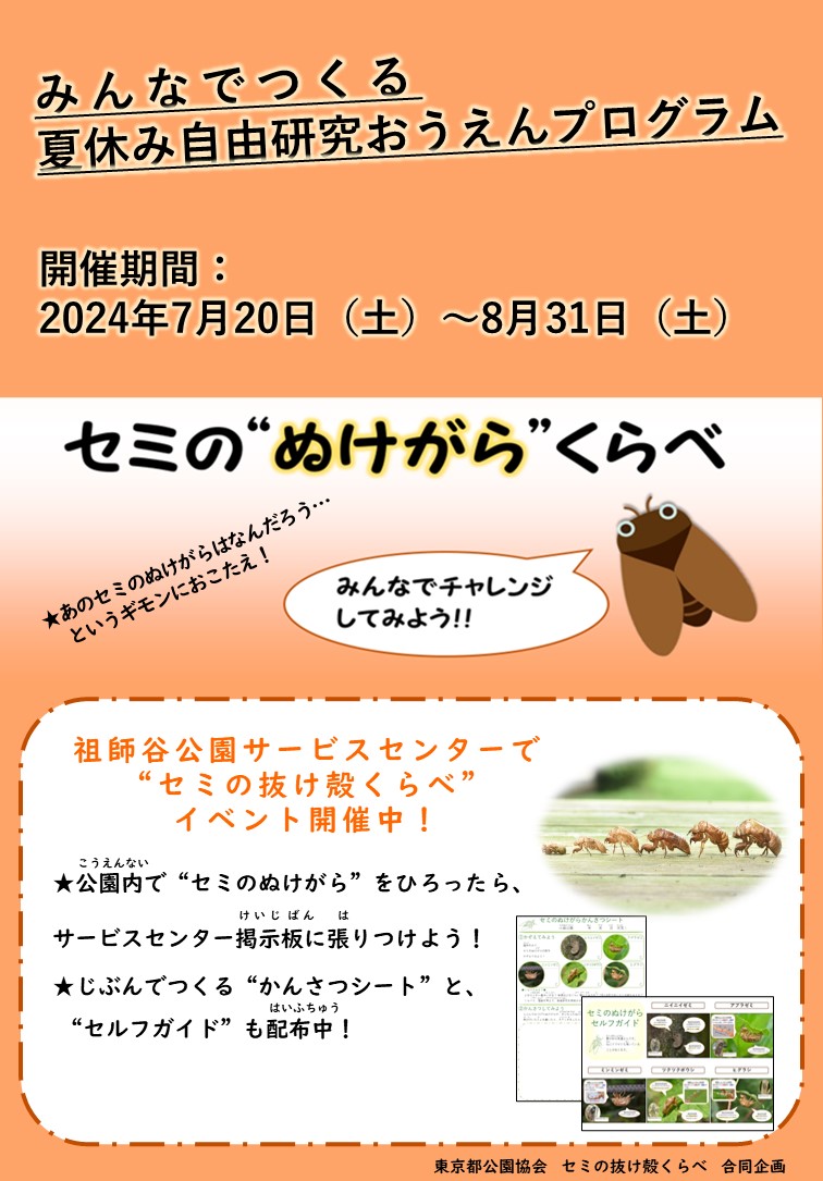 セミ抜け殻くらべ_チラシ