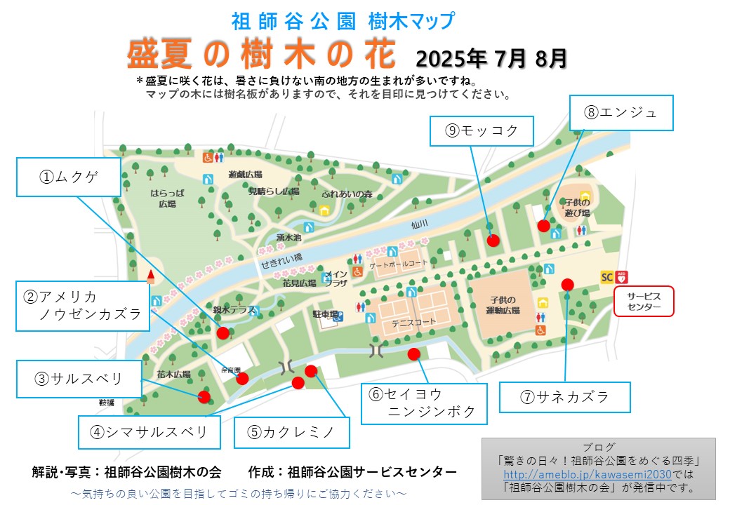 祖師谷公園樹木マップ　2025.7月8月 ①