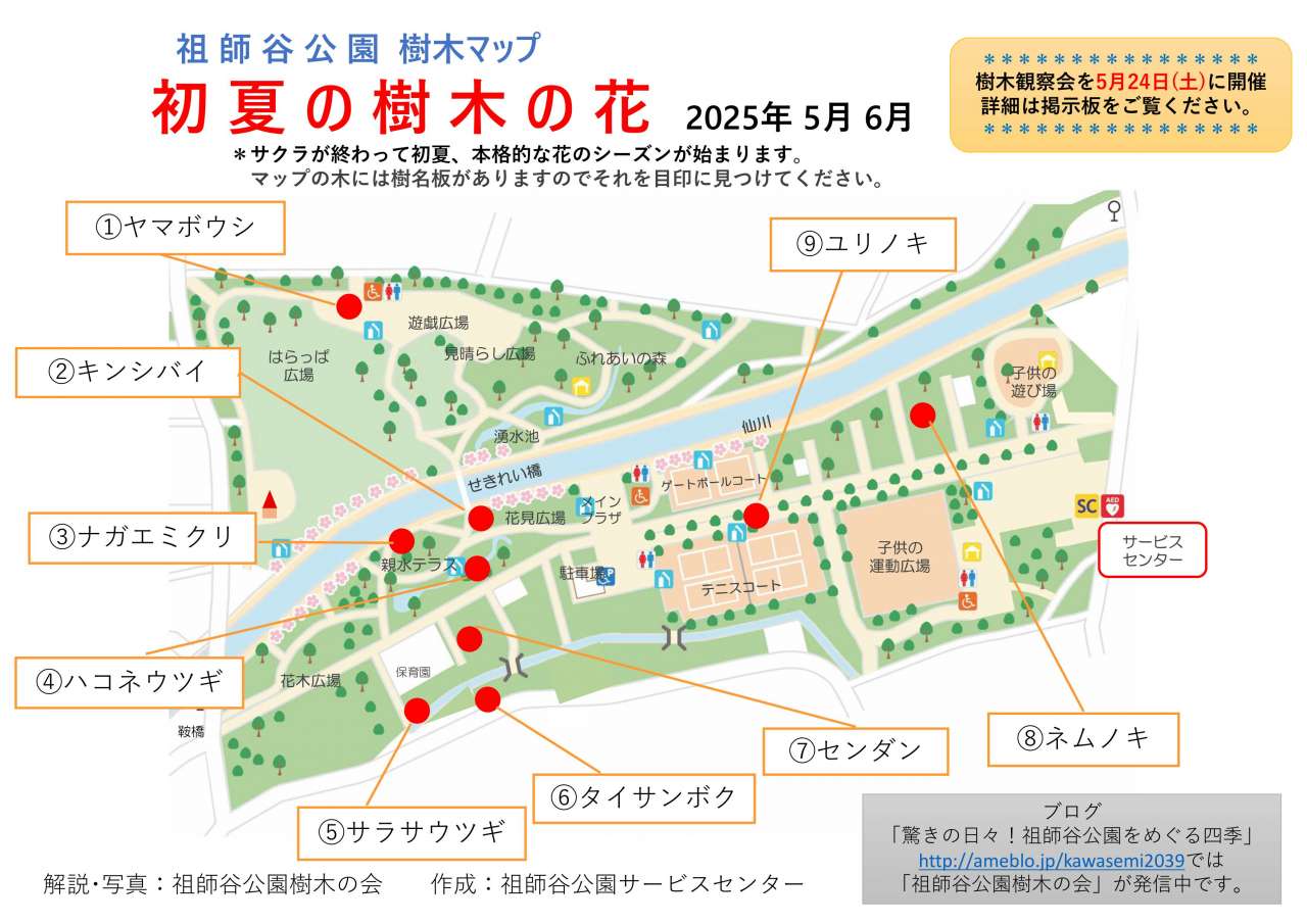 祖師谷公園樹木マップ2025 ５月６月_1