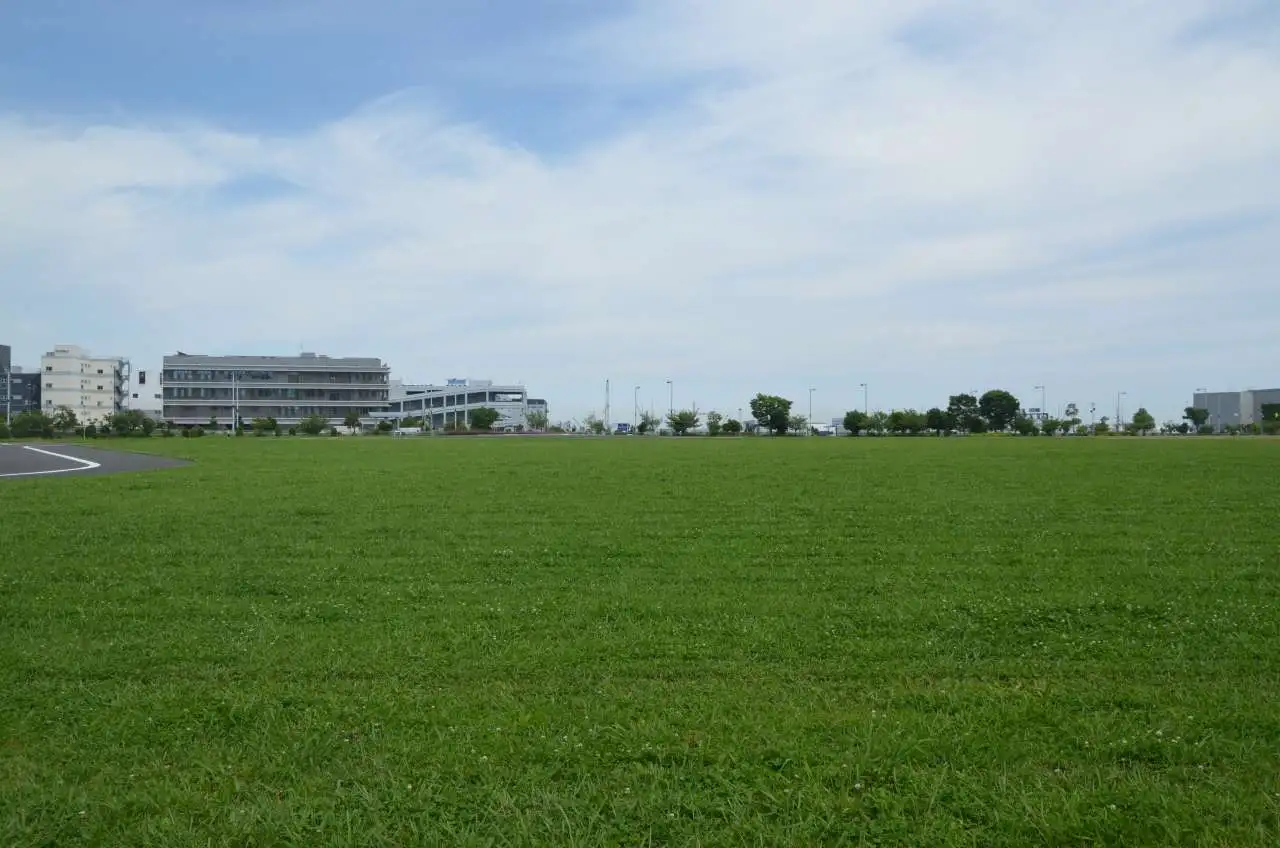 多目的広場・草地広場_東京臨海広域防災公園