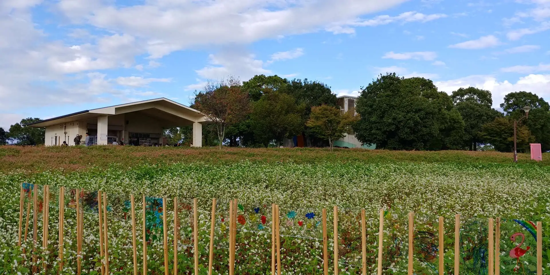 舎人公園情報まとめ（2023年10月15日現在）_05