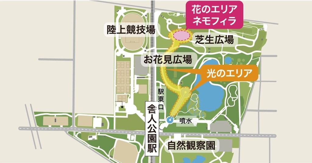 toneri_Flower and Light Movement 2024 map