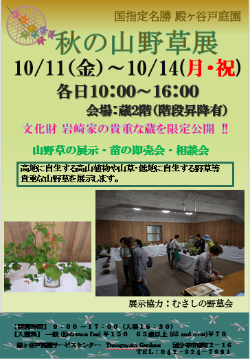 スクリーンショット 2024-10-03 091105
