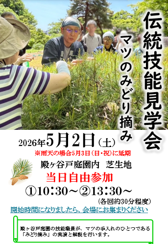マツ 2026-04-14 101244