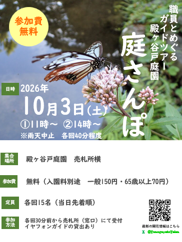 庭さんぽ 2026-09-17 152647