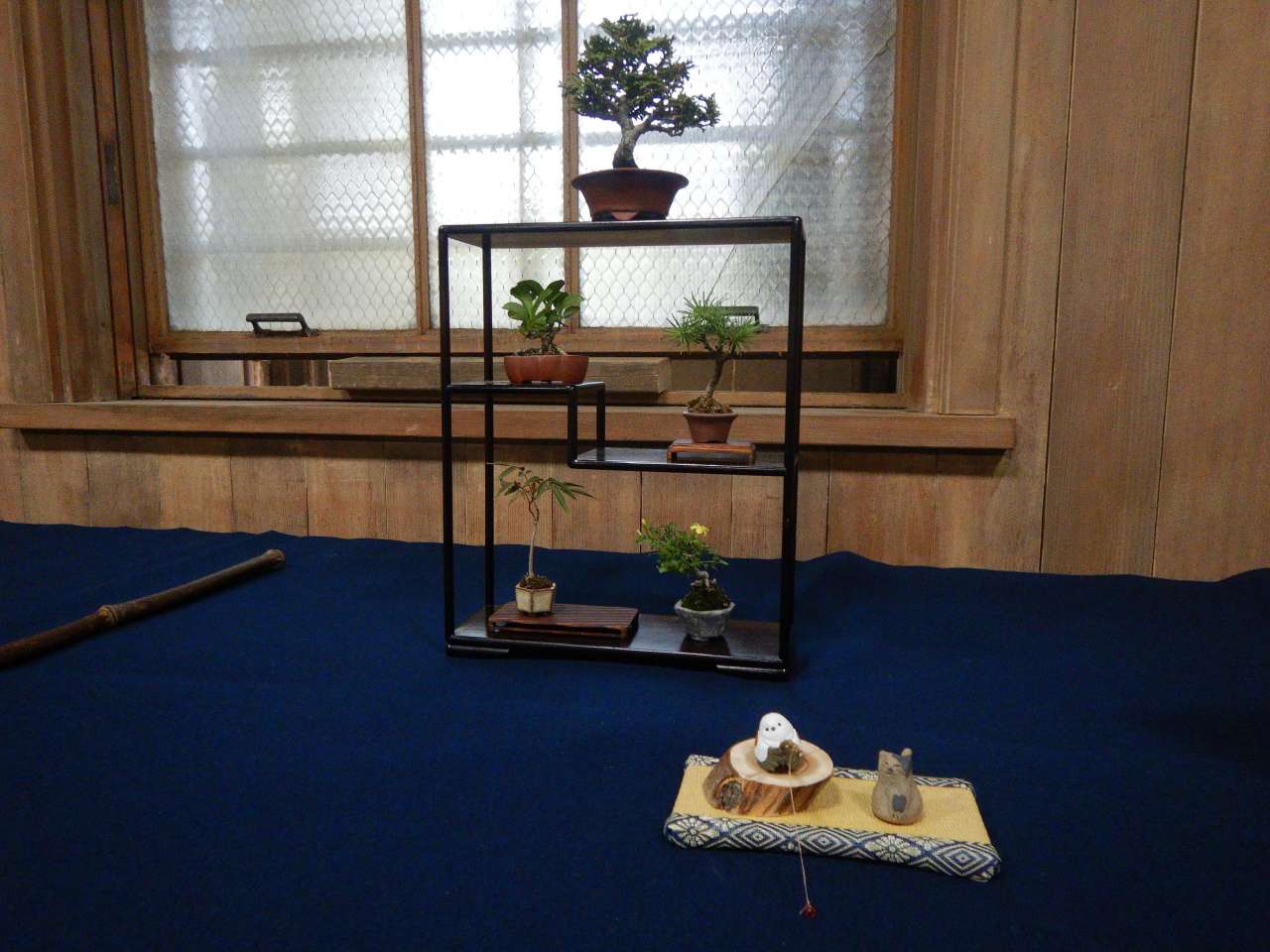 殿ヶ谷戸庭園250427春の手のひら盆栽展⑤