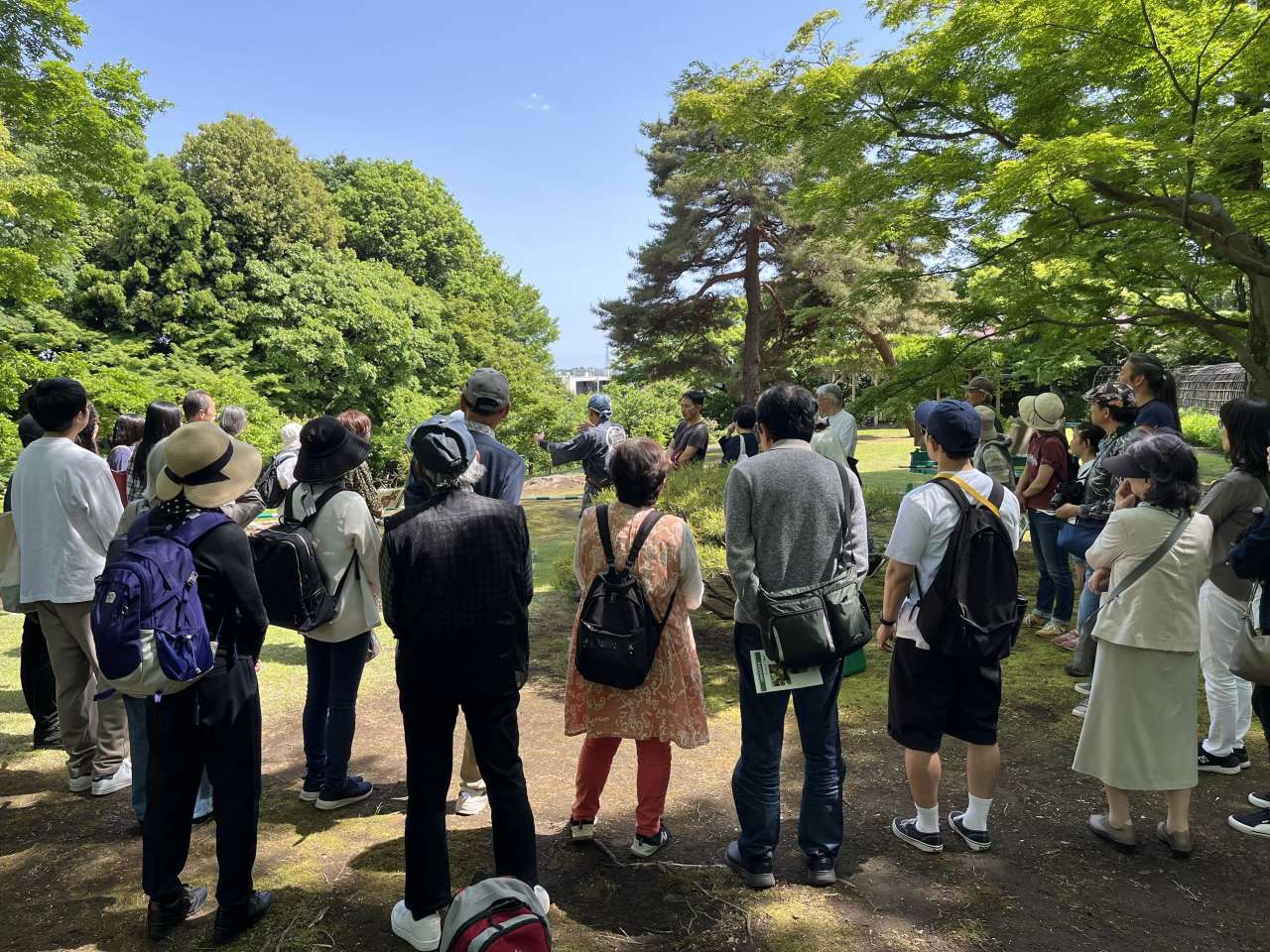 殿ヶ谷戸庭園250503伝統技能見学会⑦