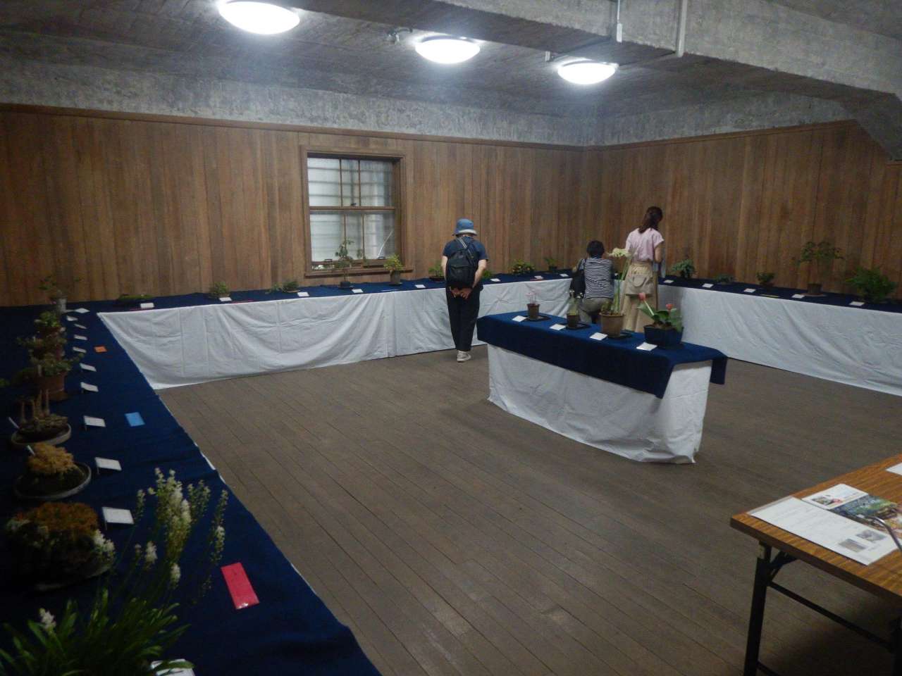 殿ヶ谷戸庭園251002山野草展①