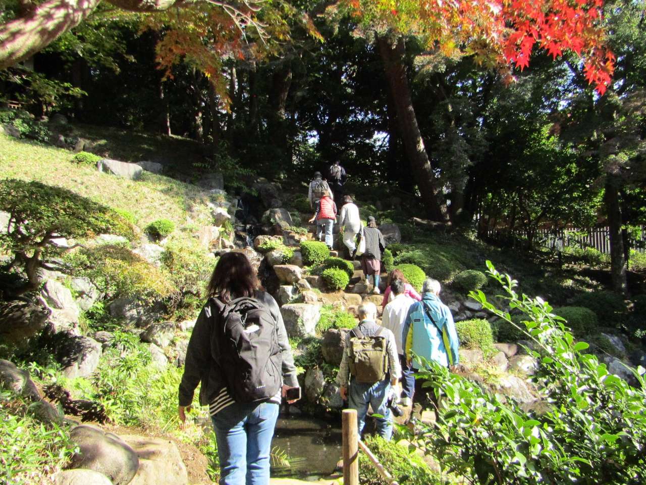 殿ヶ谷戸庭園251107崖線ツアー⑥