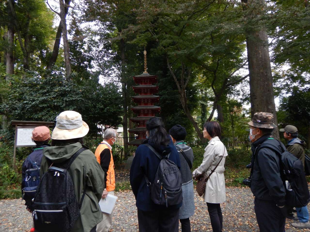 殿ヶ谷戸庭園251108崖線ツアー⑭