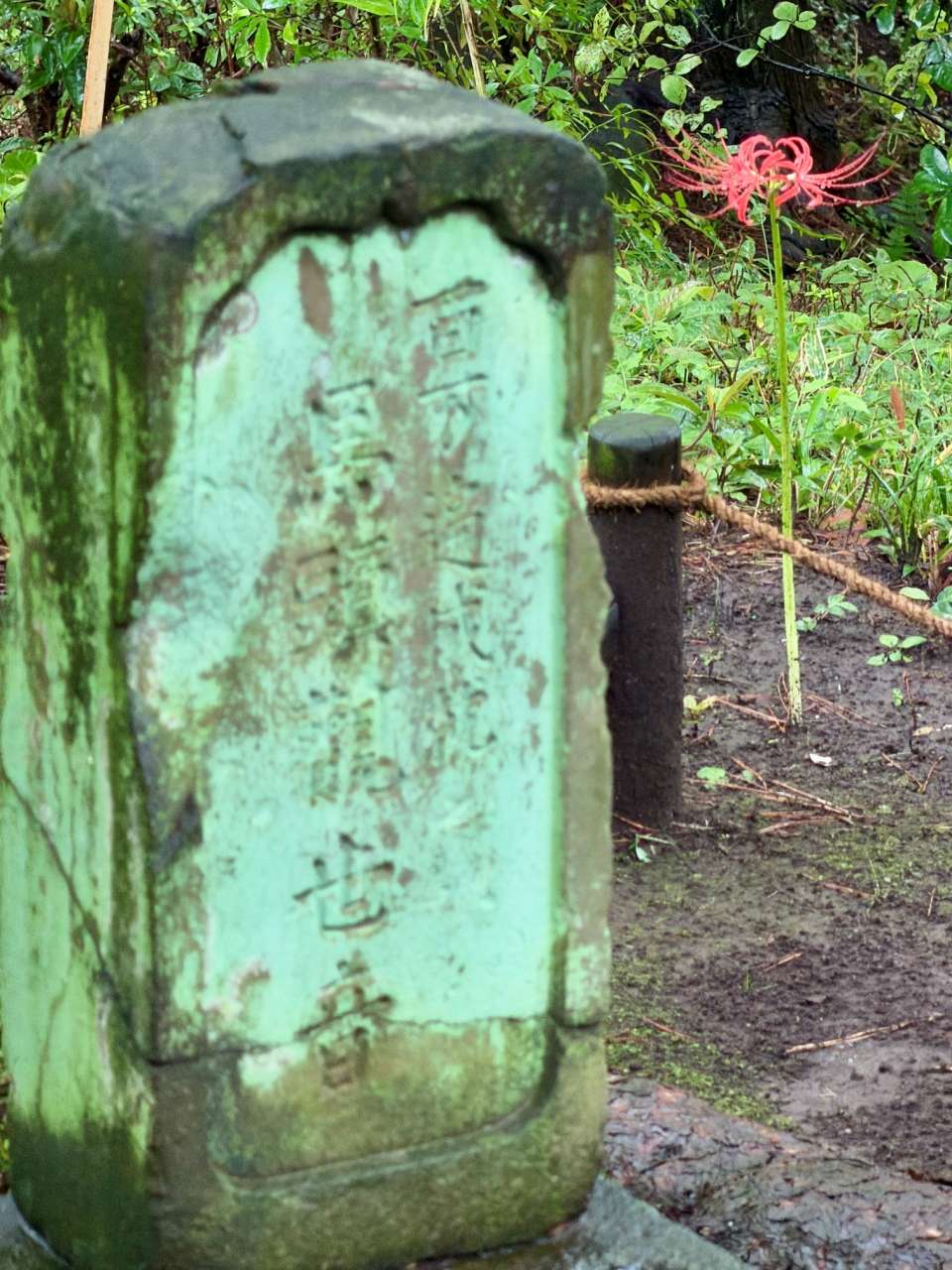 殿ヶ谷戸庭園260915ヒガンバナ、馬頭観音(4)