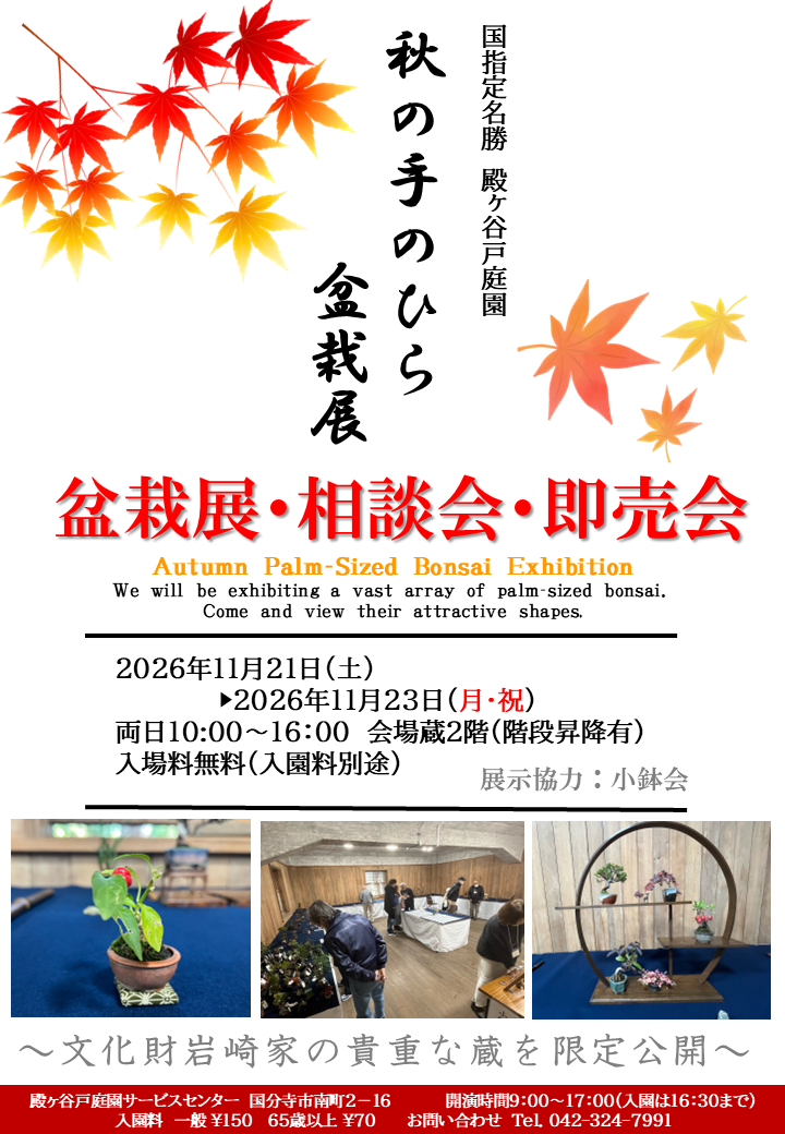 秋の手のひら盆栽展令和８年1121