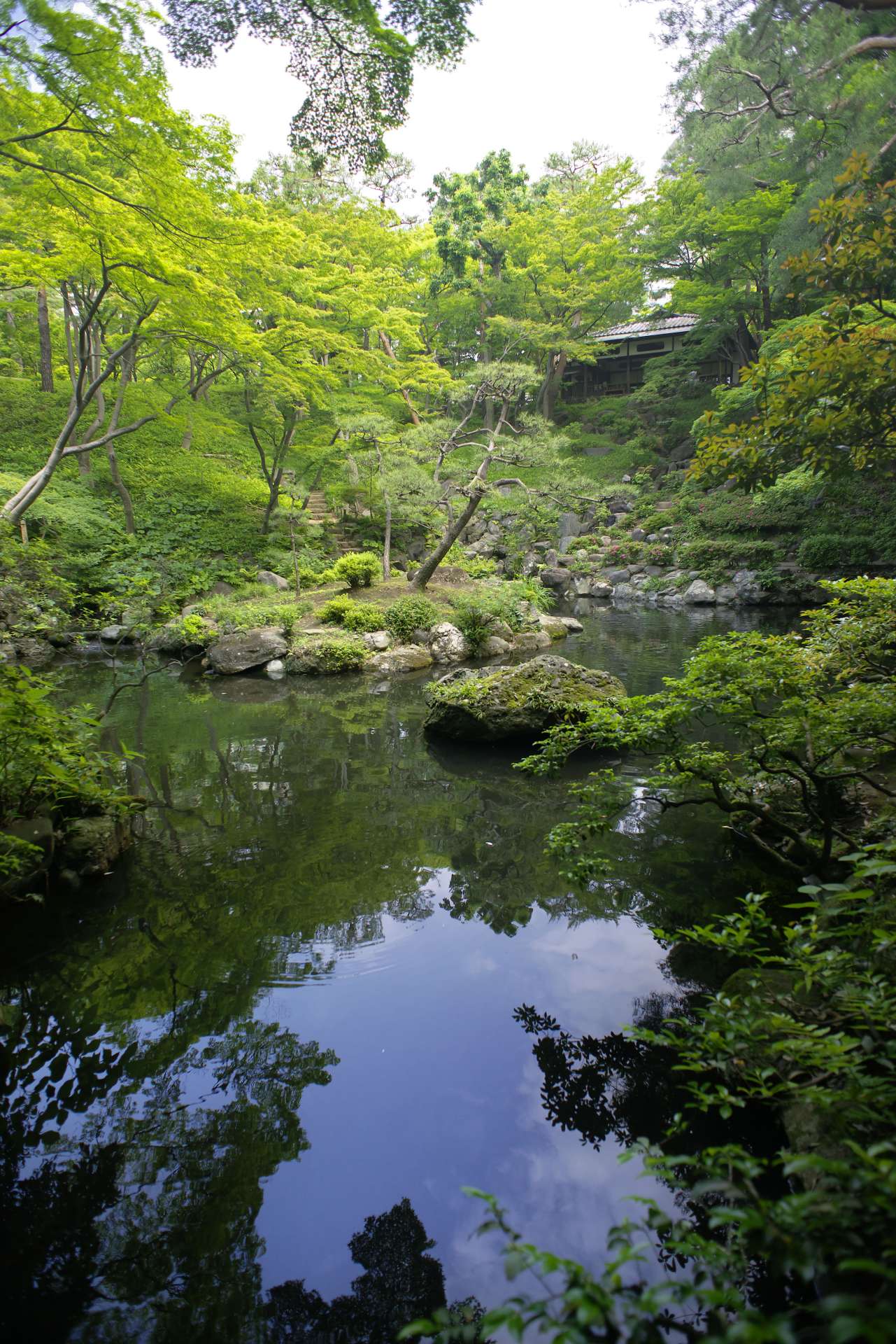 殿ヶ谷戸庭園｜公園へ行こう！