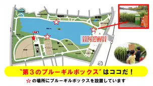 第3のブルーギルボックス_01