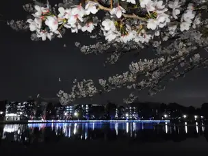 浮間公園220329花と光のムーブメント_03