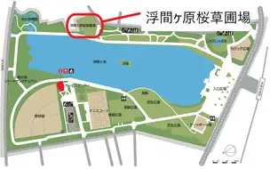 花紹介地図(サクラソウ圃場)_02