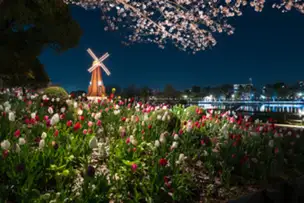 「花と光のムーブメント」浮間公園×2022　アンケートご協力のお願い_01