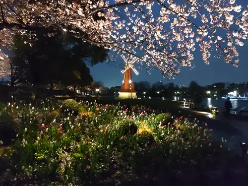 浮間公園220404ライトアップ_05