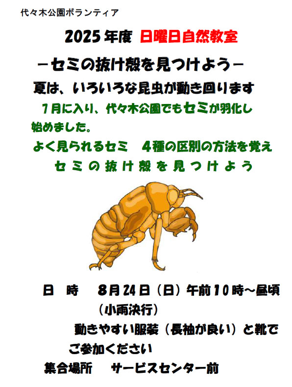 スクリーンショット 2025-07-17 143539