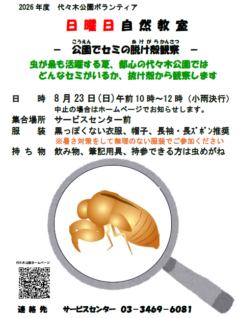 セミの抜け殻探しポスター_SC更新