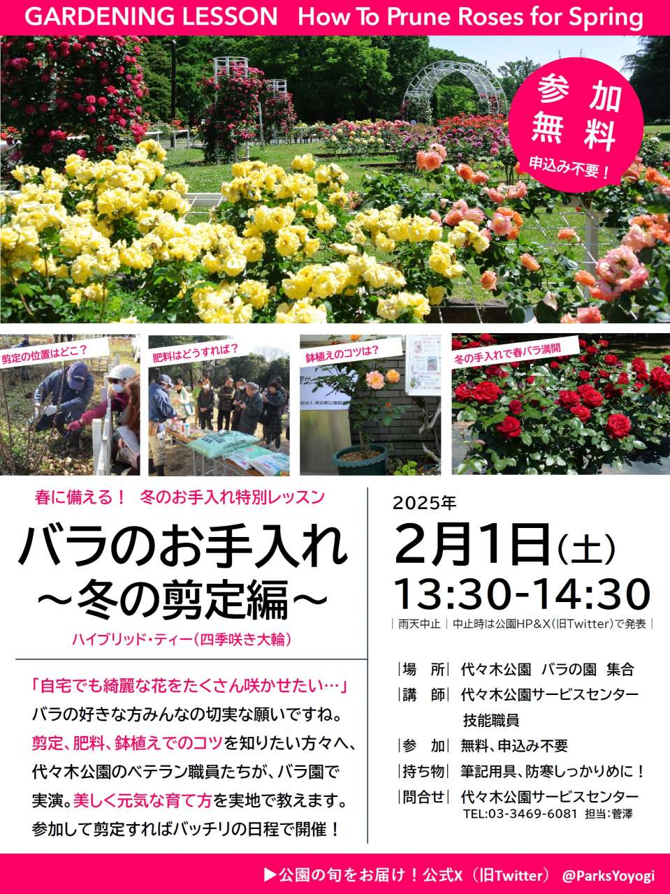 チラシ冬剪定 