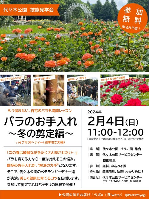 チラシ冬剪定
