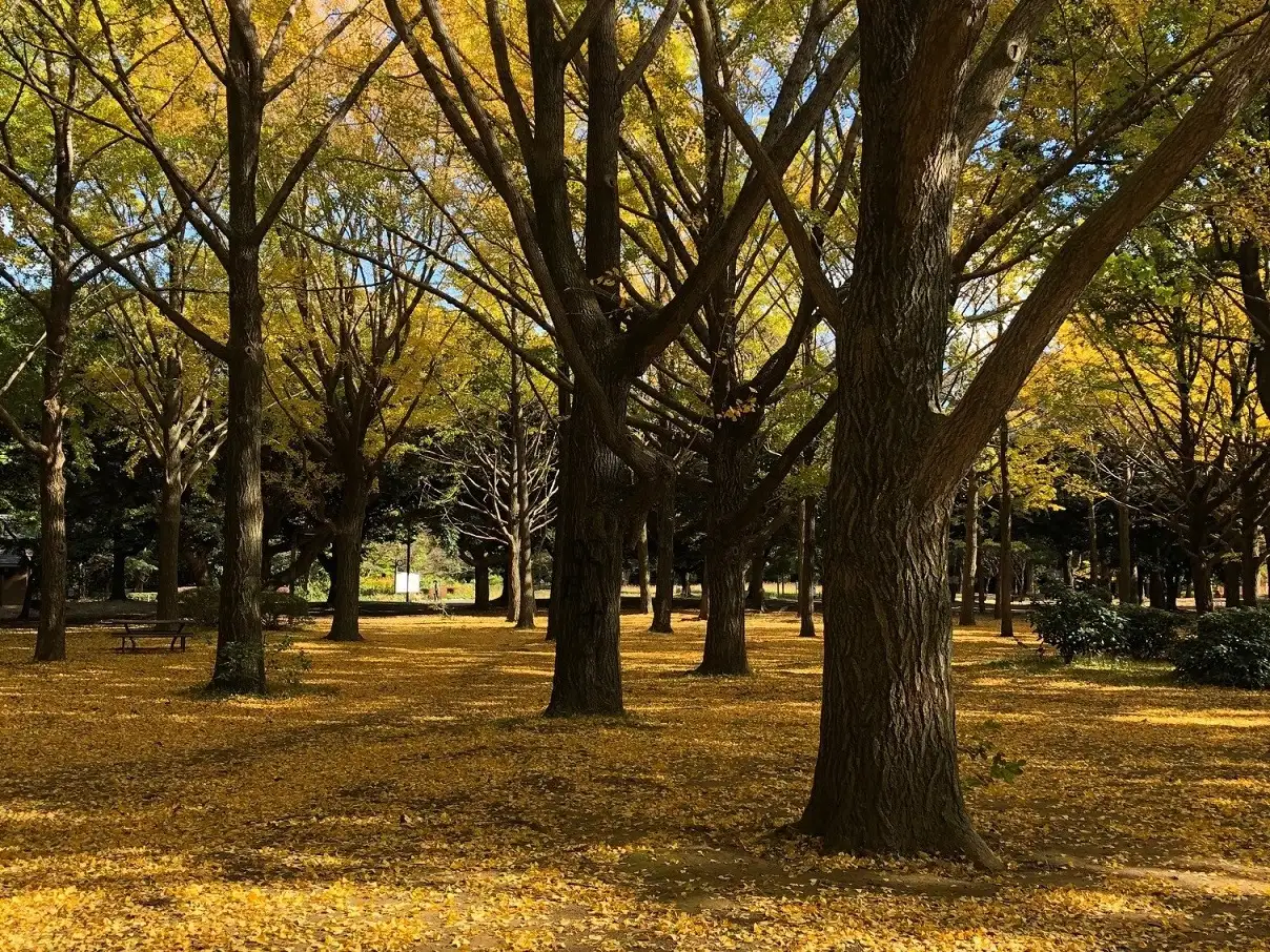 ＼都立公園開園150周年／ フォトフレームを作ろう！開催_03
